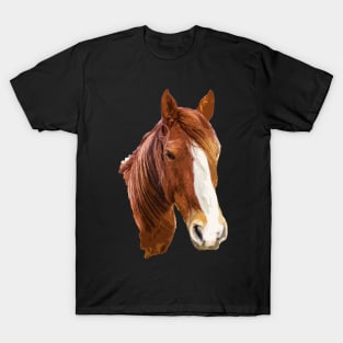 horse T-Shirt